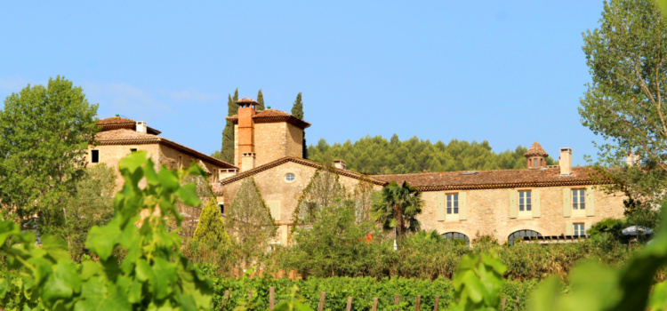 Винный тур: дегустация вин Прованса